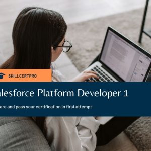 Salesforce Platform Developer 1 Exam Questions 2025